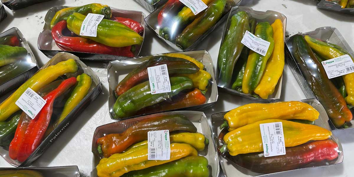 Sweet Palermo verso l’estensione del calendario produttivo